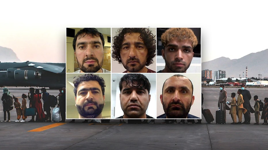 ICE arrests multiple Afghan nationals with criminal convictions released into US by Biden-era programs: DHS