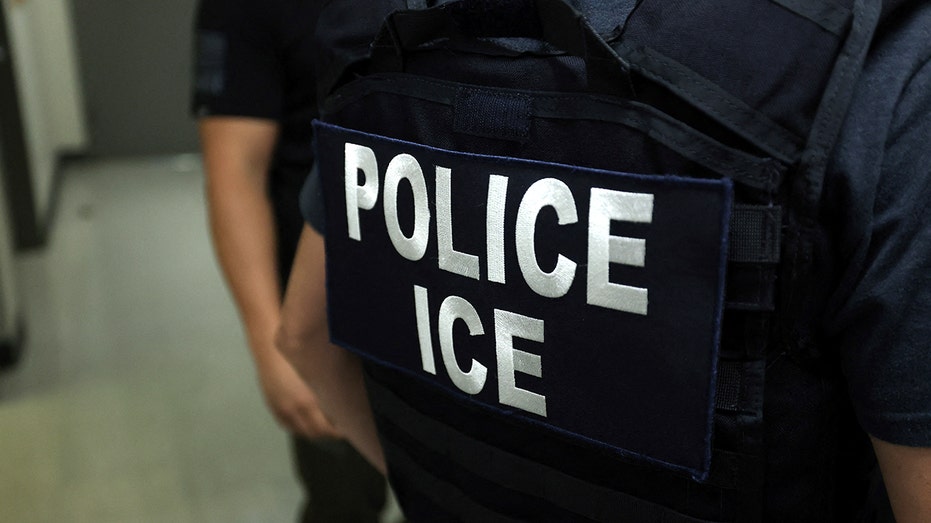 Internet InfoMedia police ice dhs