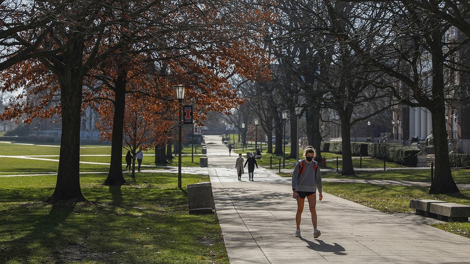 Leaked lessons from first-year University of Illinois education course show extreme left bias: 'Just so wrong'