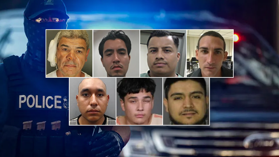 'Worst of the worst': The 10 most violent illegal immigrants nabbed in 2025