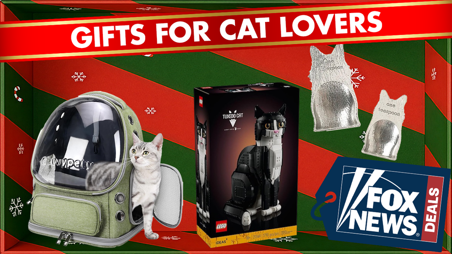 14 purrfect gifts any cat owner will love