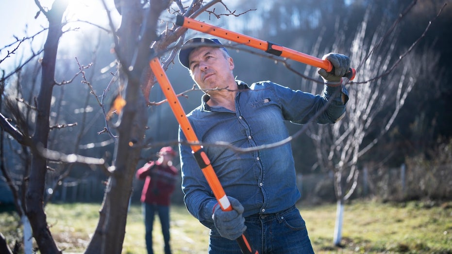 Must-have winter yard tools: Chainsaws, snow blowers and pet-safe ice melts