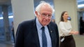 Bernie Sanders&rsquo; anti-Netflix crusade hits the skids after filings expose awkward twist - Fox News