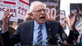 JONATHAN TURLEY: Sanders' wealth tax dangles checks while torching the Constitution - Fox News