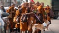 Buddhist monks walking 2,300 miles from Texas to DC go viral with 1M+ social media followers - Fox News