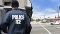 Off-duty ICE agent takes down armed man firing rifle at LA apartment complex - Fox News
