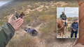 WATCH: Horse-mounted officers capture previously deported child predator at border - Fox News