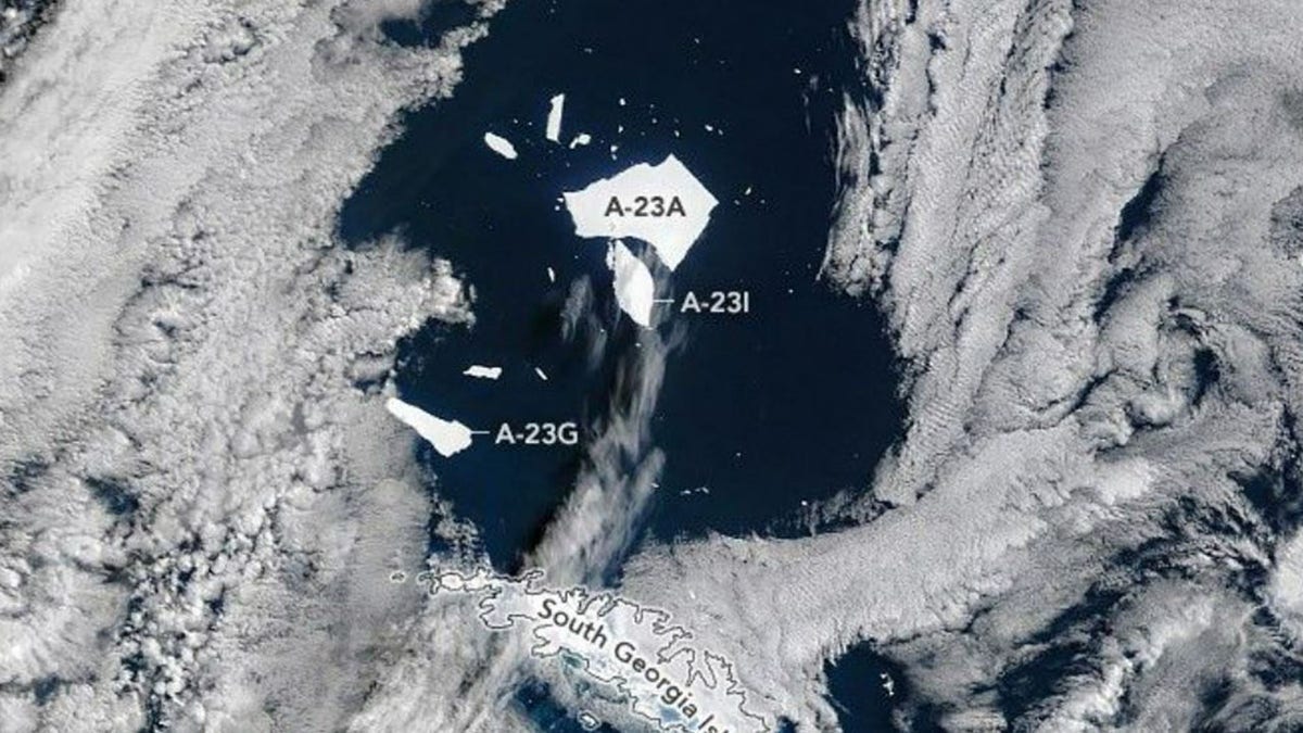 a23a successful  September northbound  of South Georgia Island