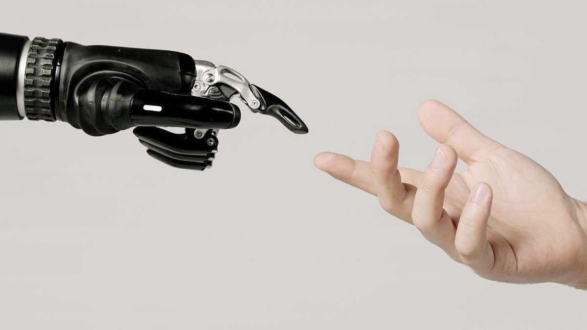 A robot and and human hand