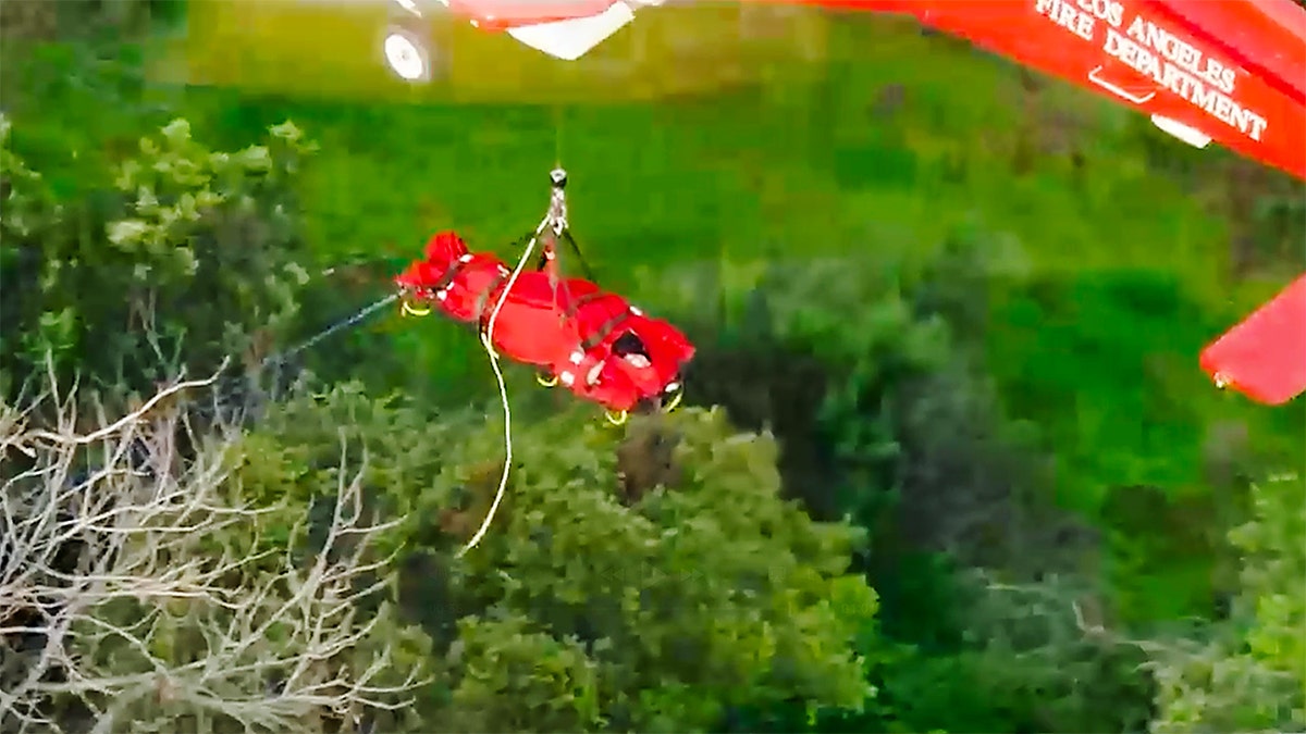 ロサンゼルスの崖から40フィート転落、女性が空輸され安全に