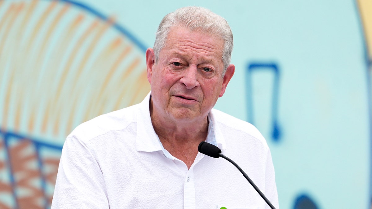 Former Vice President al Gore