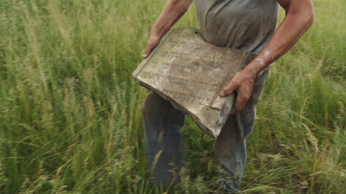 Among Neighbors film