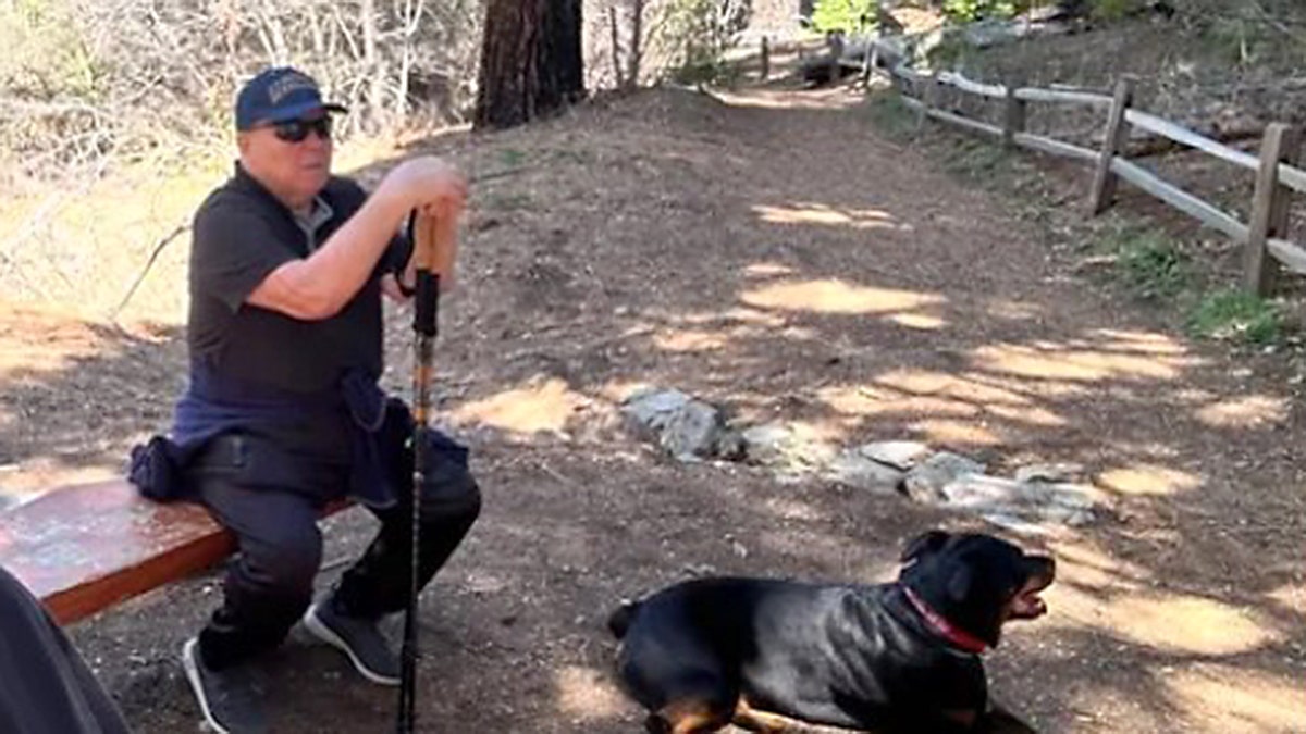 Elderly man holding a cane while sitting on a bench next to a dog.