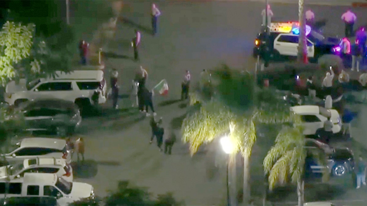 The protesters waved flags and blew horns.