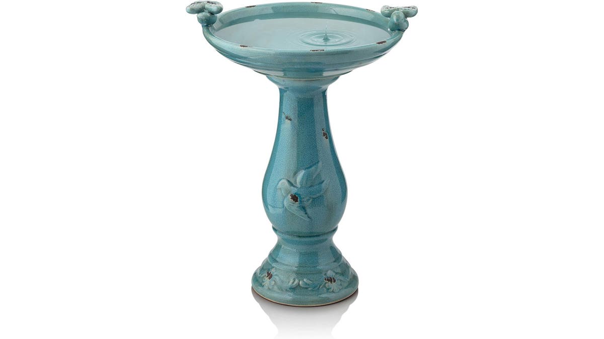 A bird bath might attract more birds to your garden.