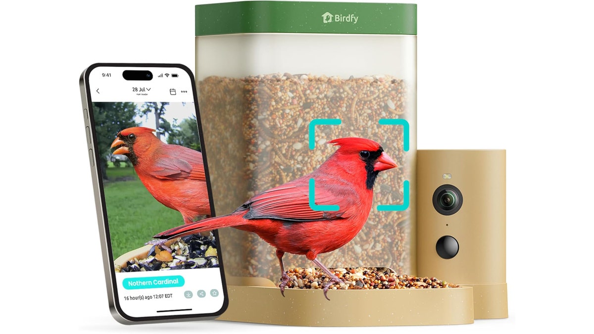 Engage with the birds in your yard from your phone.