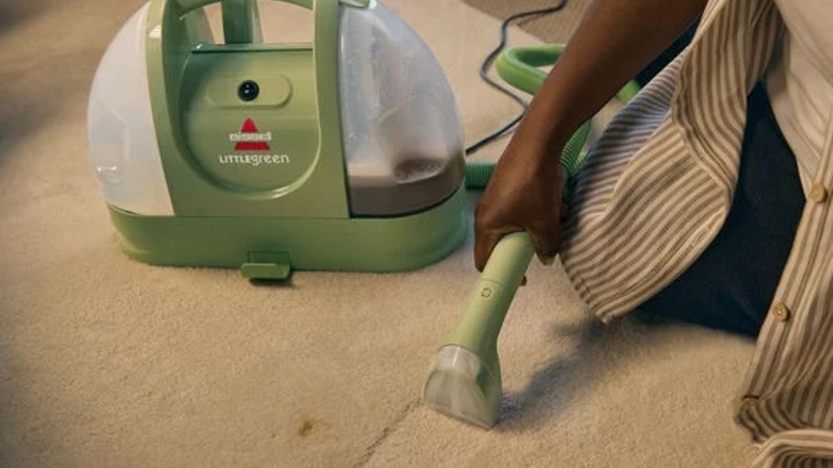 Questo pulitore portatile è ciò di cui hai bisogno per affrontare i pasticci degli animali domestici.