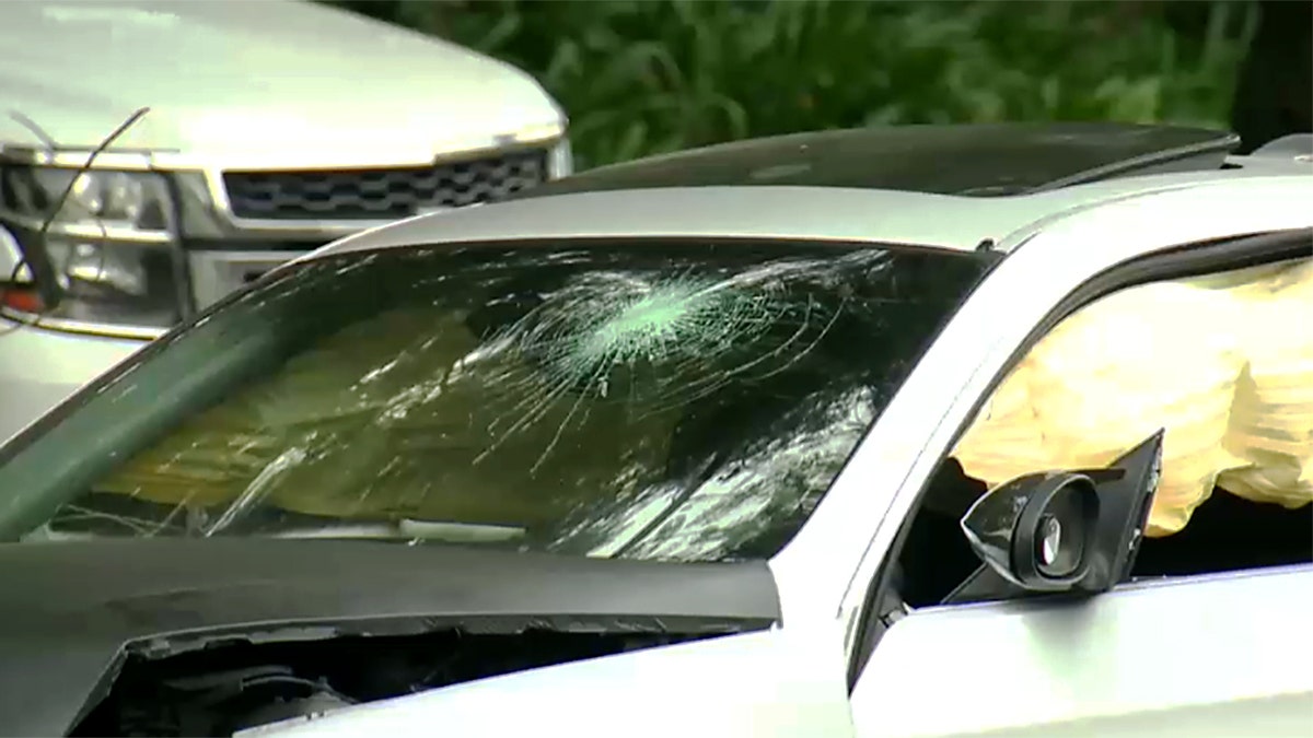 Cracked car windshield.