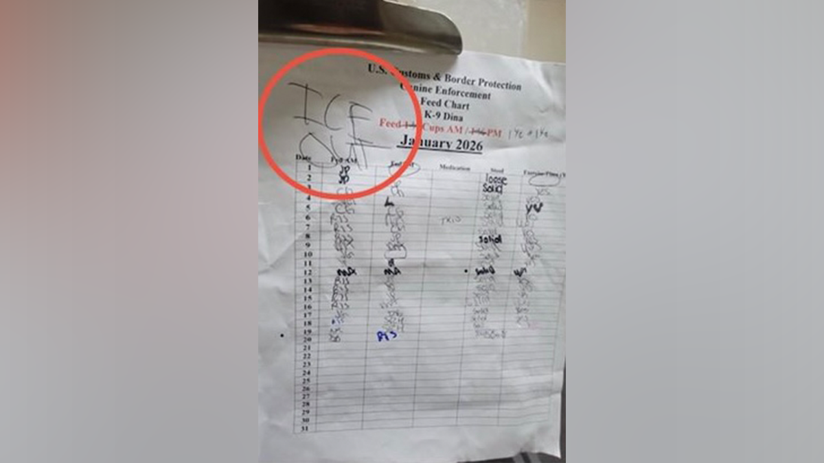 Photo of dog feed sheet