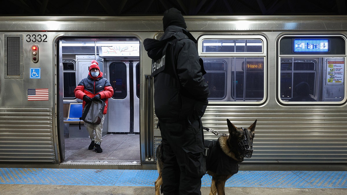Chicago Blue Line Train