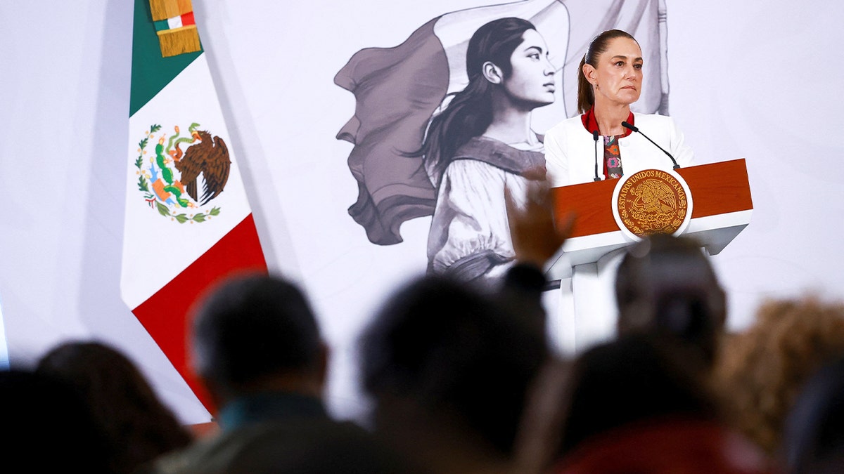Mexico’s leader speaks to reporters from a podium inside the National Palace.