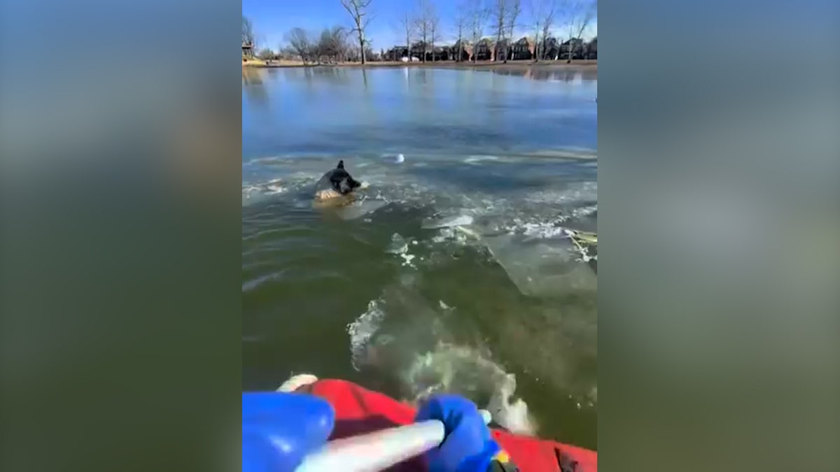 A rescue boat approaches dog trapped in icy water