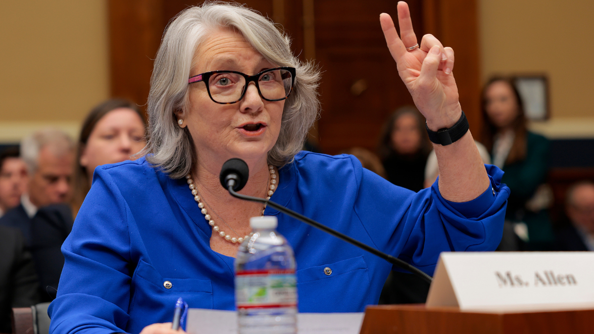 Ellen Allen, executive director of West Virginians for Affordable Health Care, testifies on the rising costs of insurance.