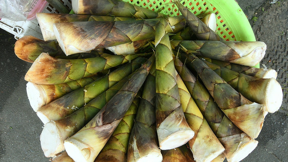 Unprepared bamboo shoots
