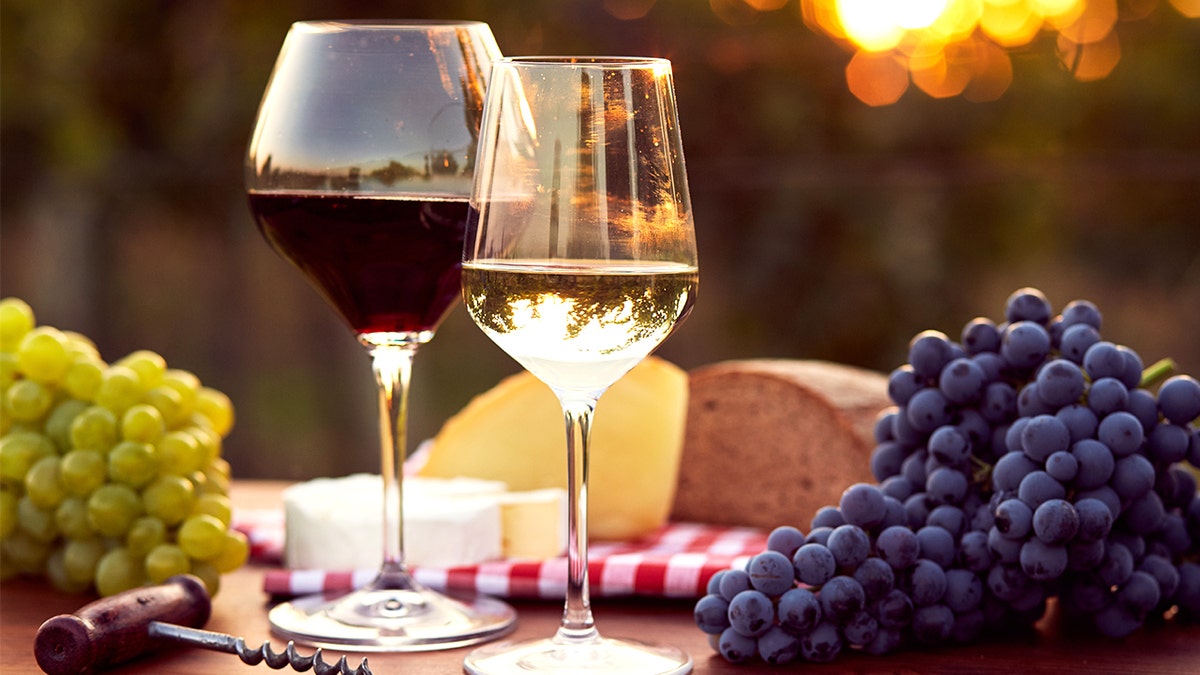 Red and white wine glasses together