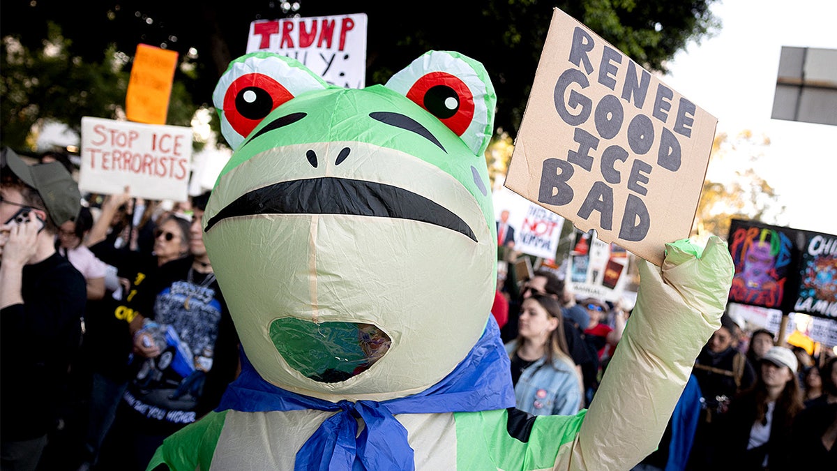 A person in a frog costume holds a protest sign while standing among demonstrators on a city street.