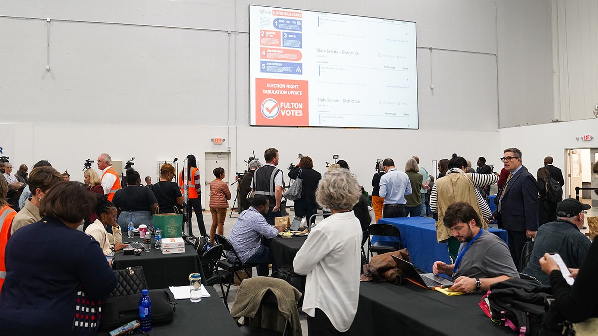 Georgia election hub