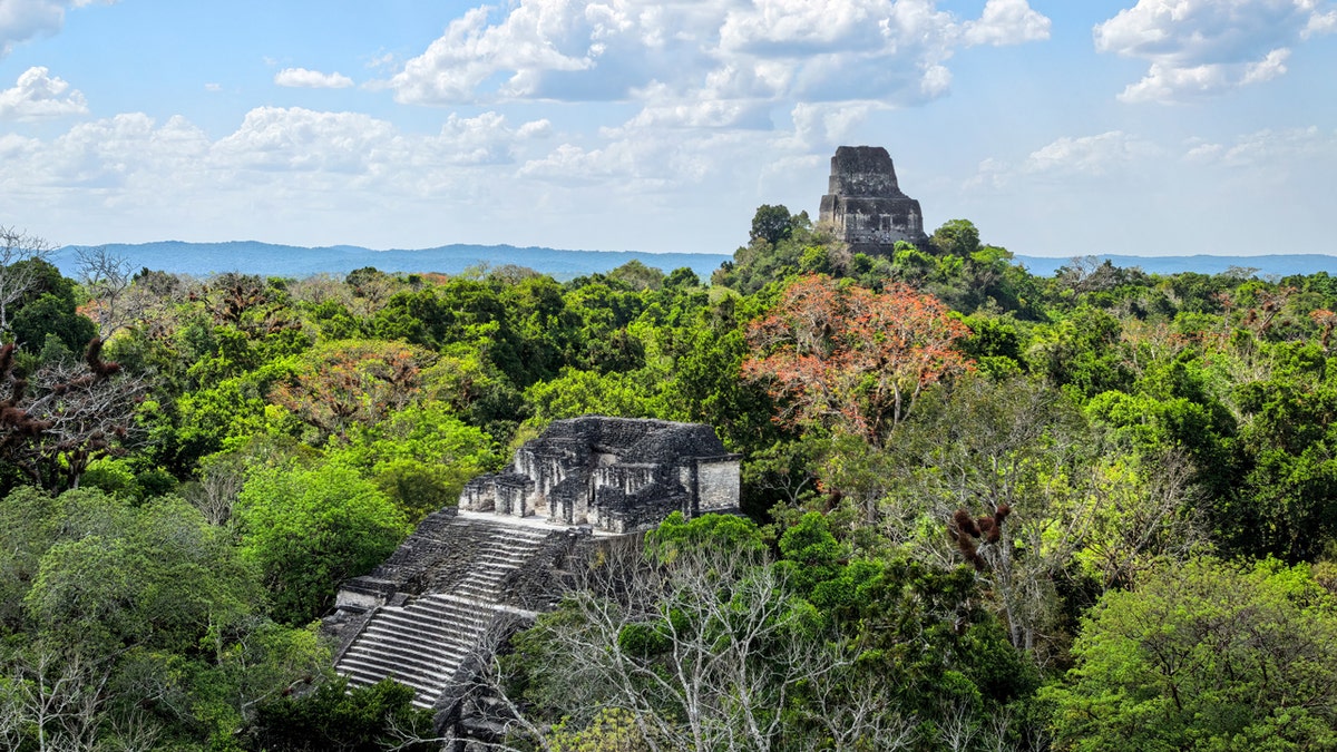 Aerial shot of Tikal Mayan Archaeological Zone