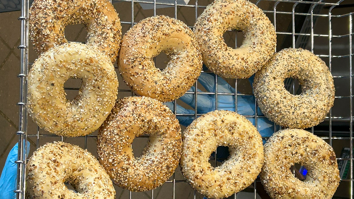 New York-style bagel water wars heat up as iconic brands battle for snowbirds at george magazine