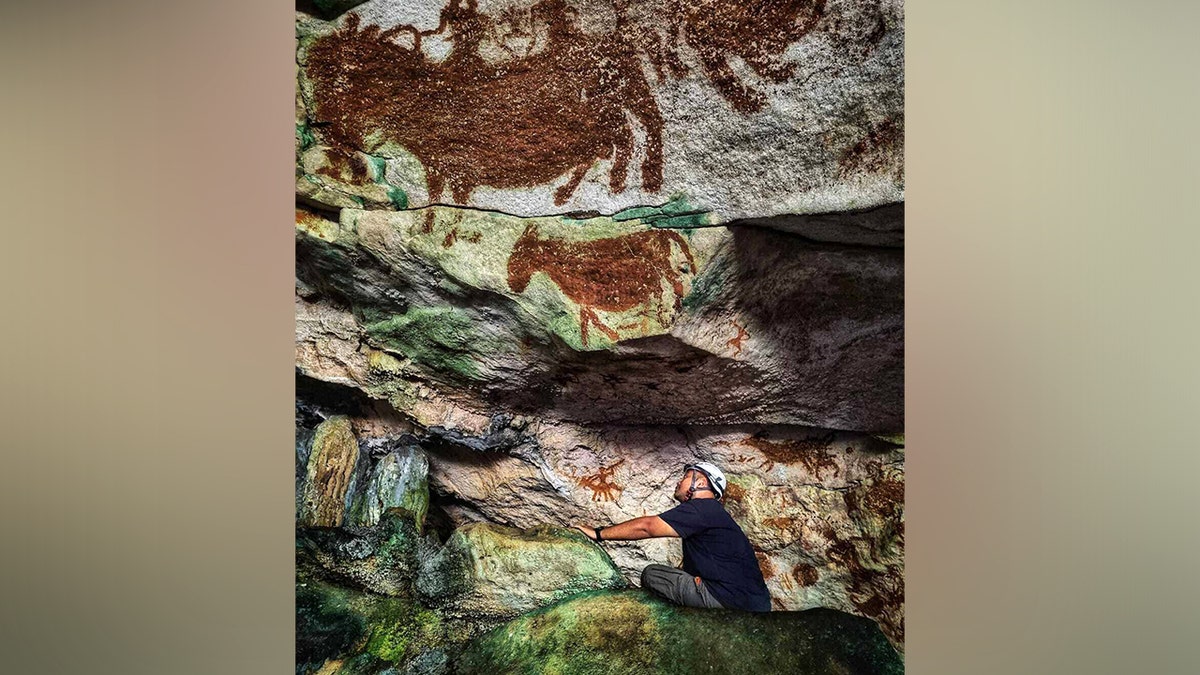 Researcher looking at rock art