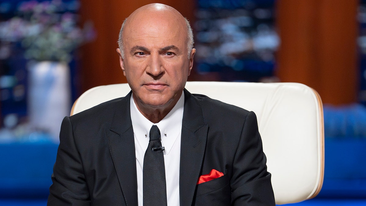Kevin Oleary on Shark Tank