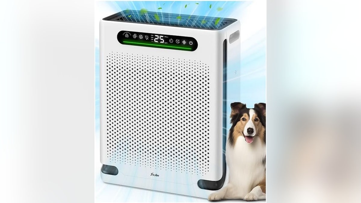 This purifier handles big rooms with ease.