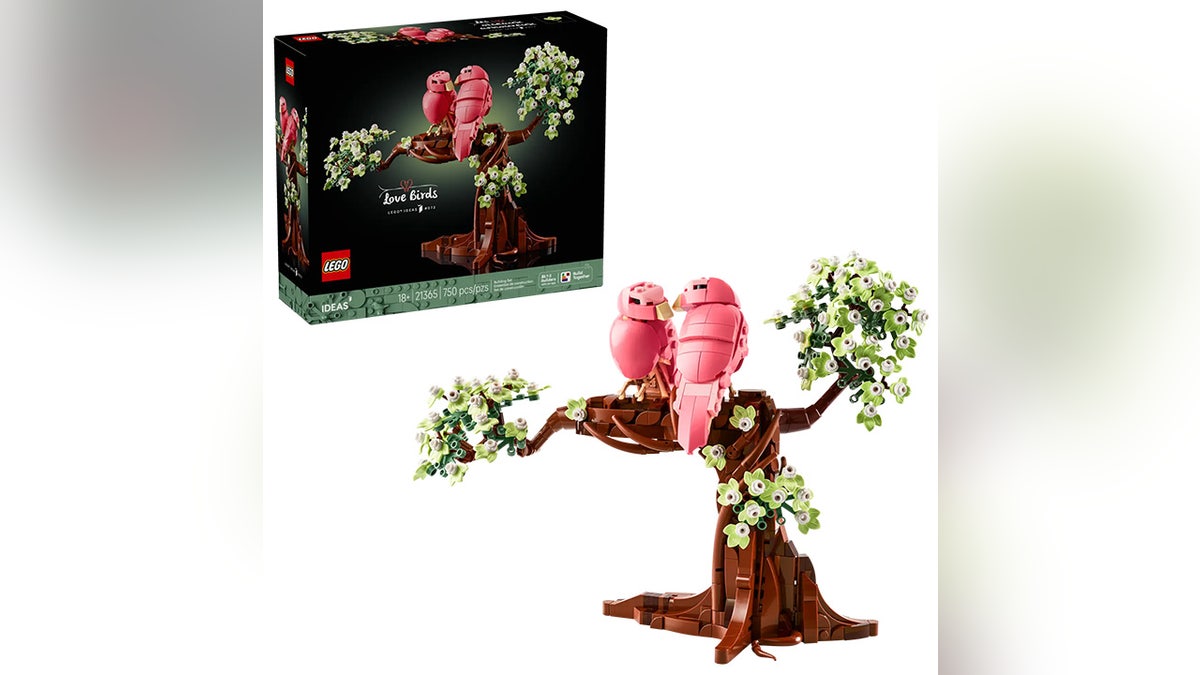 Pose these Lego birds to make a heart shape.