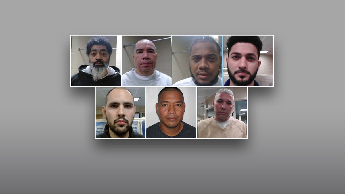 Photos of the criminal illegal aliens arrested in the state of Massachussetts