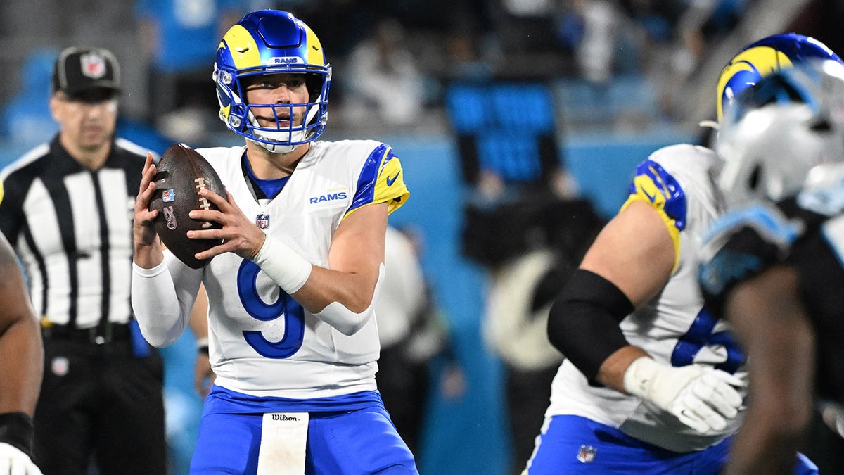 Matthews Stafford drops back to pass