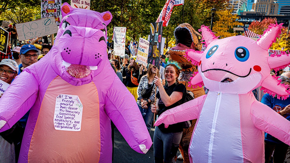 Protesters hold signs and gather in a large crowd during a demonstration.