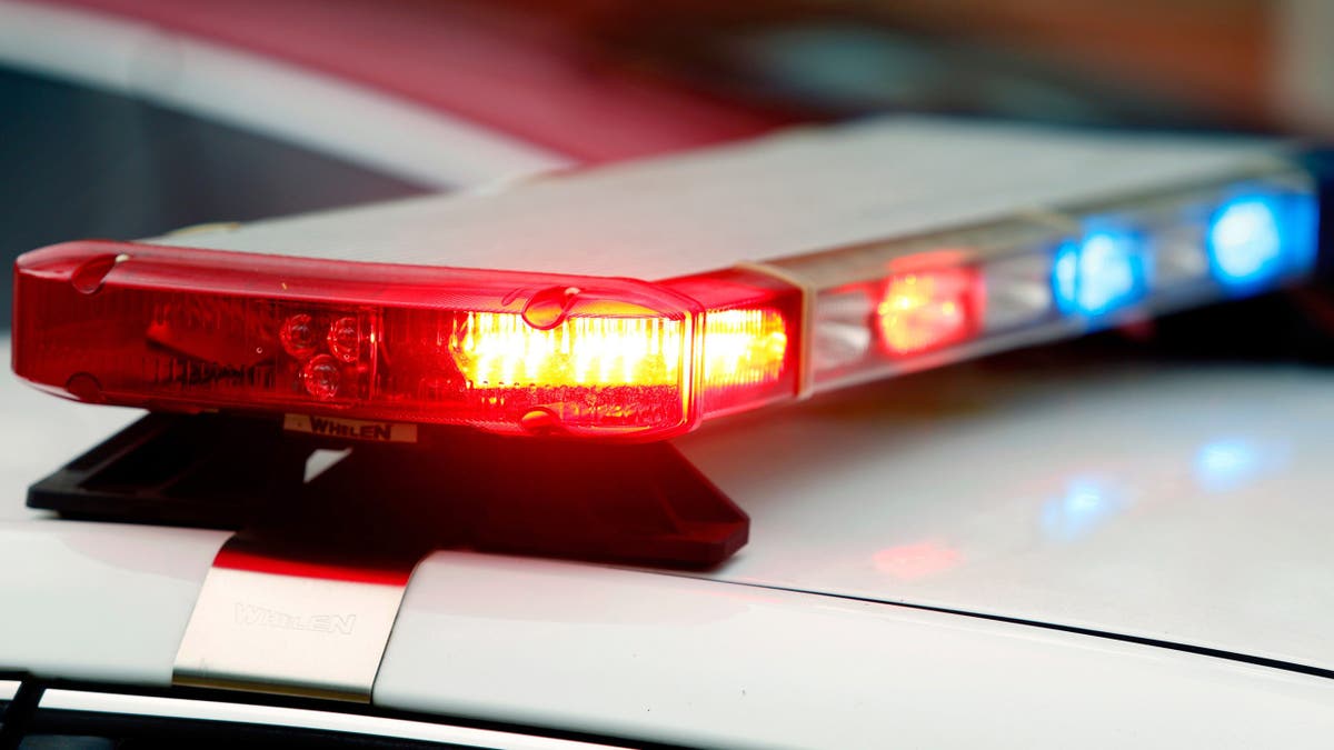 Police car   lights flashing astatine  night