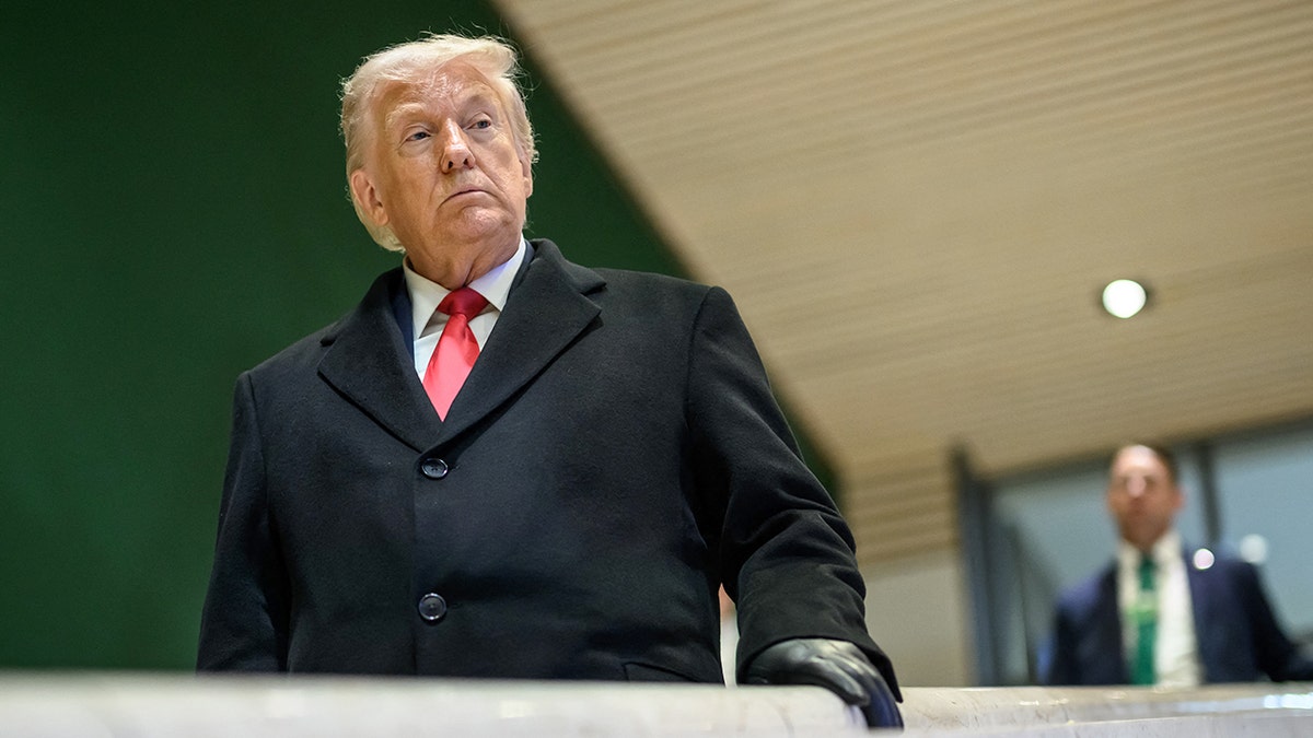 President Donald Trump