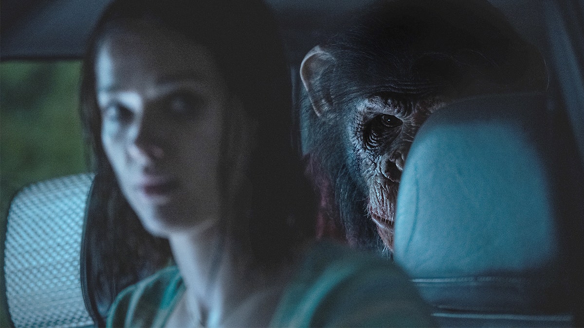Primate movie 4