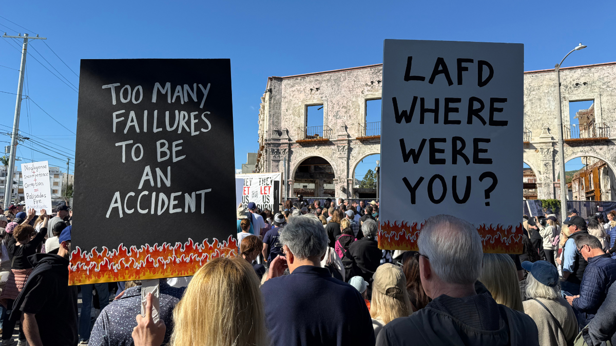 protest-signs-palisades-fire