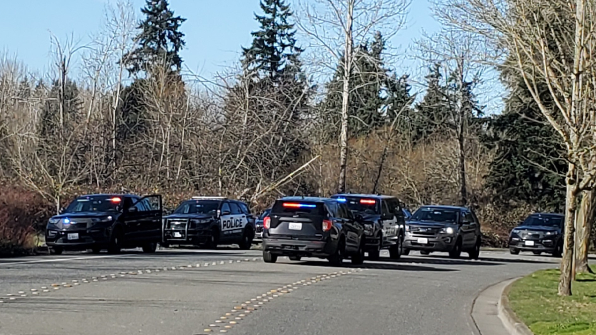 Police vehicles are parked near a trail area during an active investigation
