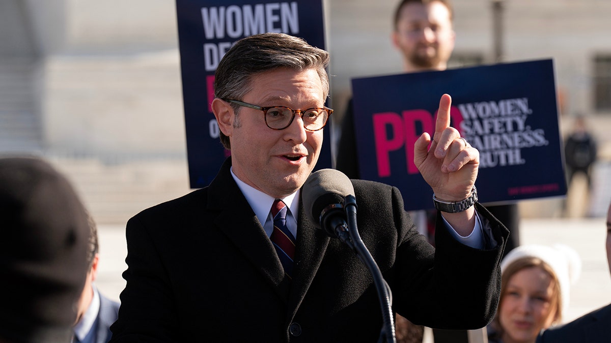Mike Johnson outside the Supreme Court