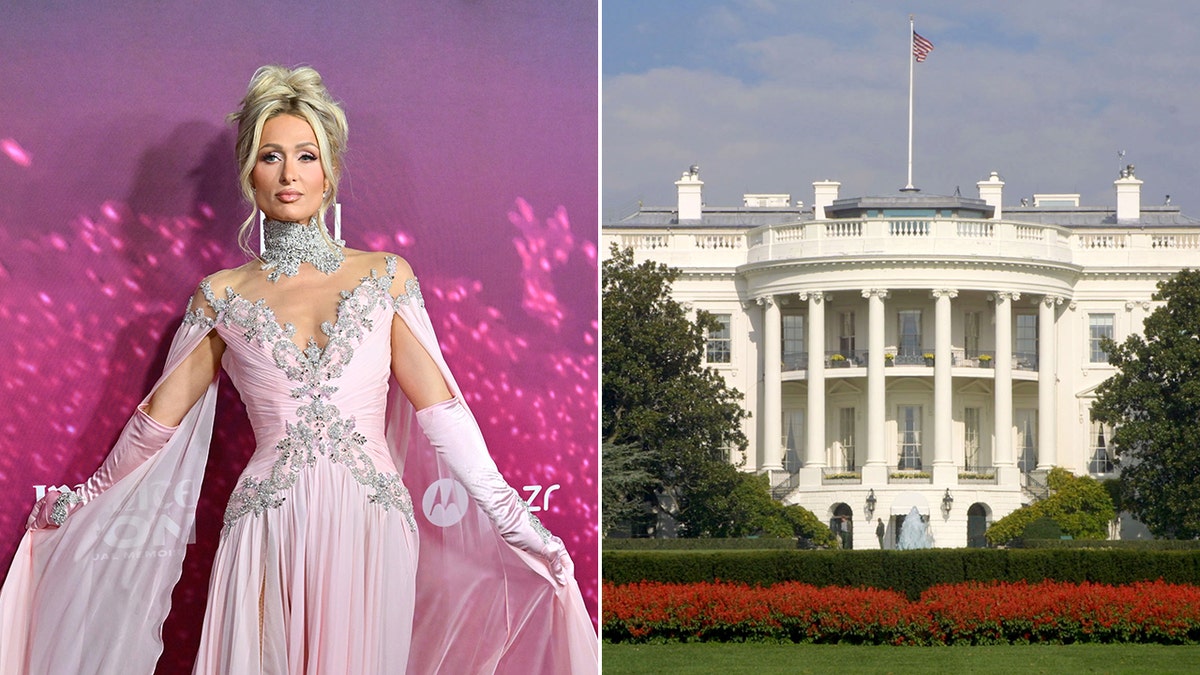 Split of Paris Hilton in pink an the White House