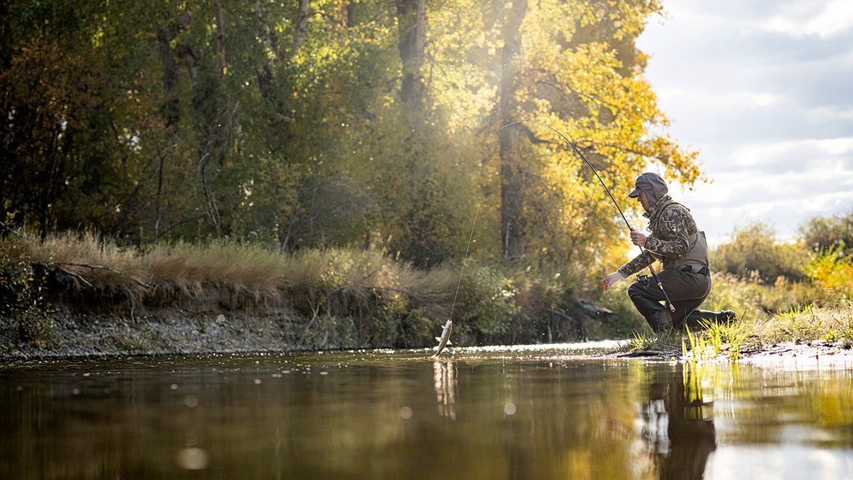 A man in camoflauge catches a fish in a stream.