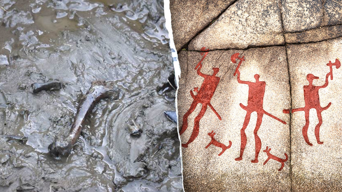 Split image of bones in mud, depiction of Sweden in Stone Age with dogs