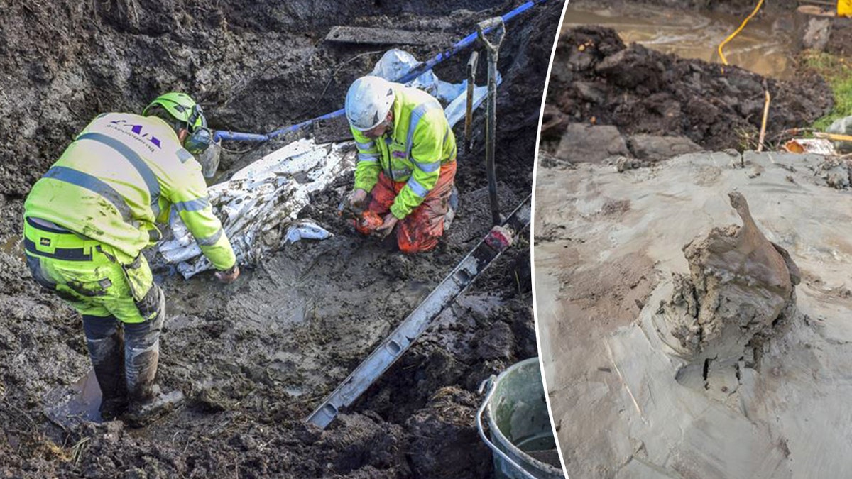 Split image of archaeologists working, dog skull